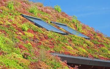 Ruislip Manor living roof systems